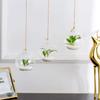 Ball Hanging Tealight Holder Transparent Glass Planter Succulents Plant Ball Container  Hydroponics