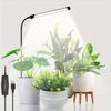 48LEDs Grow Lights for Indoor Plants 6000K Full Spectrum Ground Plug Grow Light with Gooseneck With 5 Level Dimmable & Auto Timer for Small and Indoor