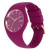 Официальные женские часы Ice Watch 018647 ICE grace Classy Red Medium