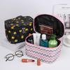 Высококачественный большой органайзер для хранения принадлежностей для ногтей, переносной косметичка