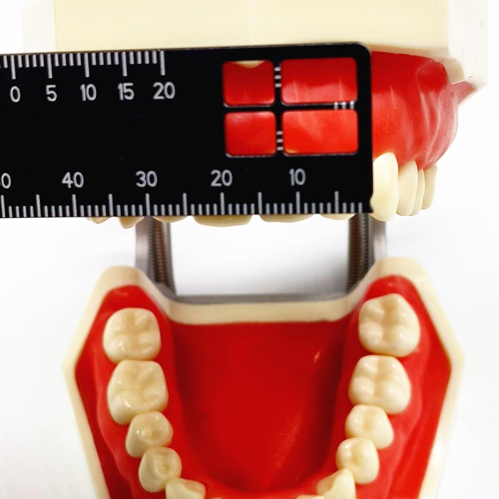 Стоматологическая прецизионная измерительная линейка, измерительная шкала, эндодонтические инструменты, стоматология для фотографии и стоматологии