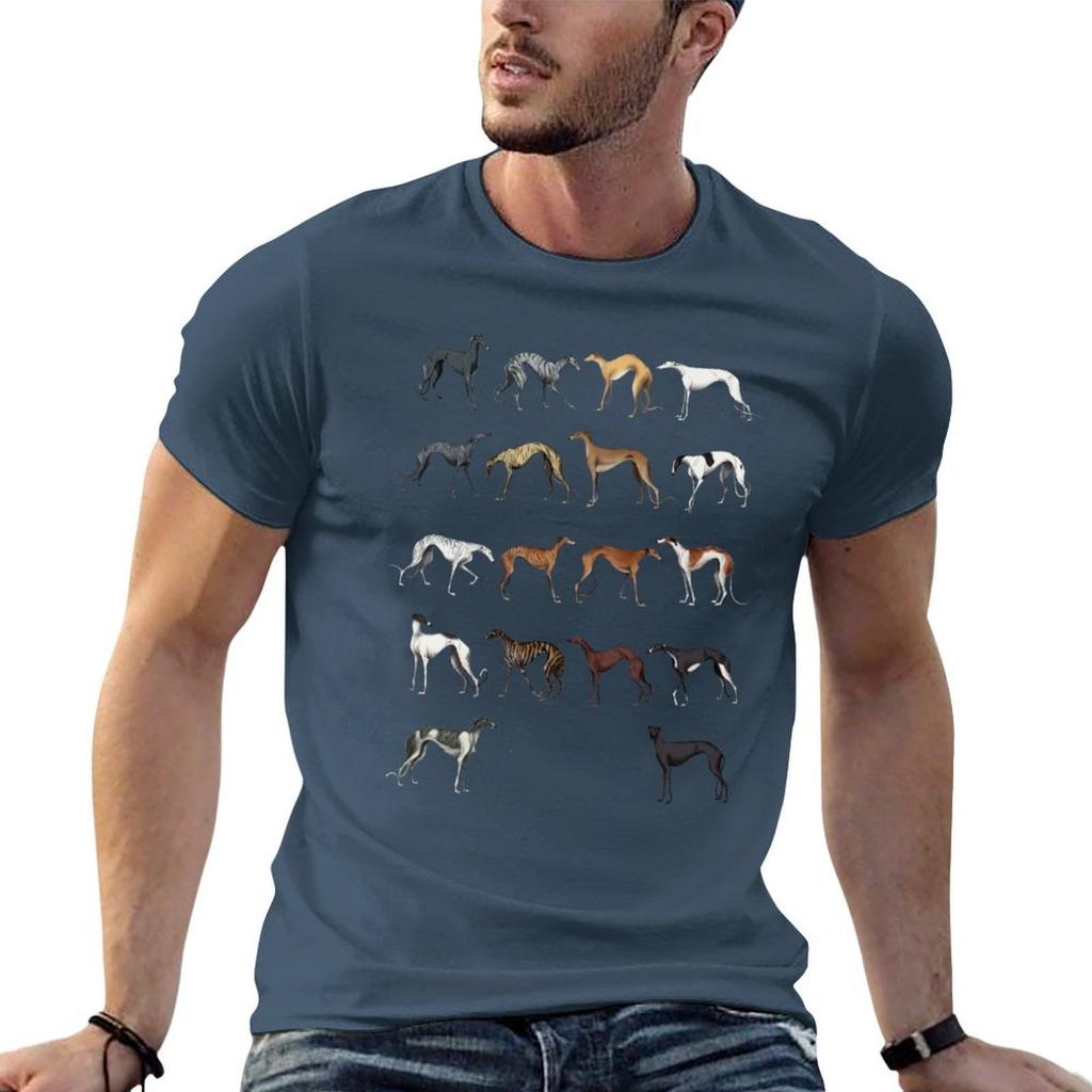 Galgo Colours Tshirt Casual Daily Graphic Tee