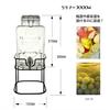 Living Glass Jug Keeper Drink Server 3.0L with Stand