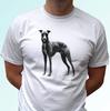 Greyhound детская футболка для мальчиков борзая собака футболка животное топ арт подарок s s детский размер для малышей