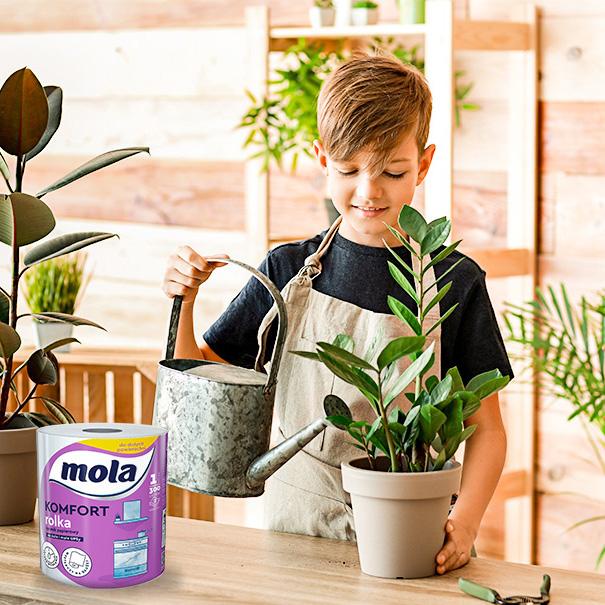 Mola Toilet Paper Will Be Oops, 3W Cellulose 8 Pcs New Ean
