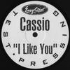 12-дюймовая пластинка CASSIO - I Like You EZS7605 EASY STREET 1995 США Танцевальная и Электронная Б/У