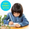 STAEDTLER HB Письменный Светло-голубой 1 13074HBC12 Карандаши, Серия, Дюжина,