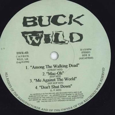 12-дюймовая пластинка VARIOUS - Buck Wild BWR4PROMO Buck Wild 1994 US Рэп и хип-хоп/R&B Б/У