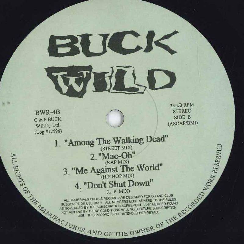 12-дюймовая пластинка VARIOUS - Buck Wild BWR4PROMO Buck Wild 1994 US Рэп и хип-хоп/R&B Б/У