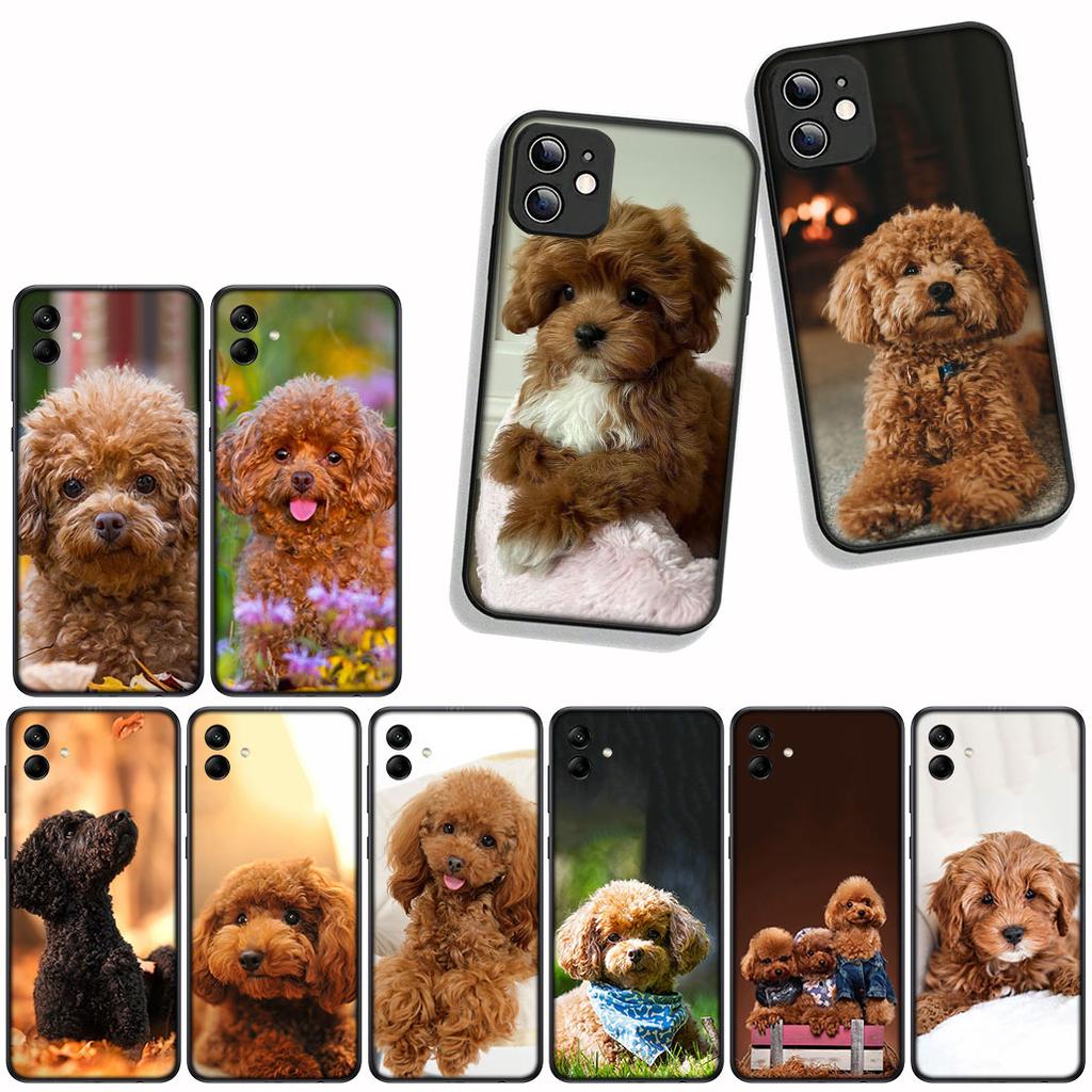 Чехол Cover для Samsung Galaxy A55 A56 A25 A36 A54 S8 S9 S21 S20 FE A53 A13 A12 A14 A33 A70 A71 A51 A21S Чехол Собака Пудель