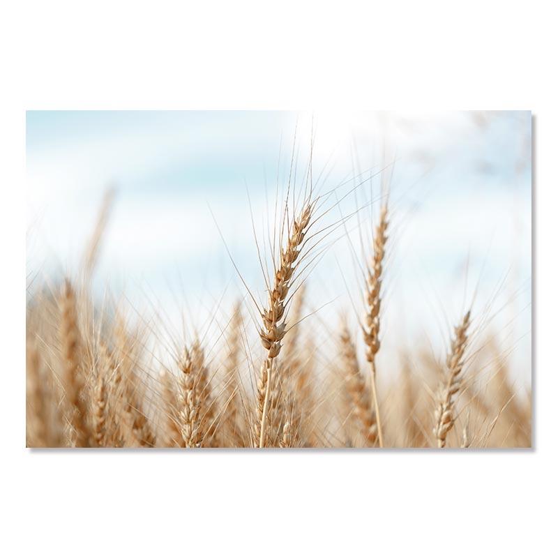 Пляжная декорация Живопись Постер Океан Белые ракушки Мост Природный пейзаж Настенное искусство Скандинавский холст Принт Картина Для декора дома