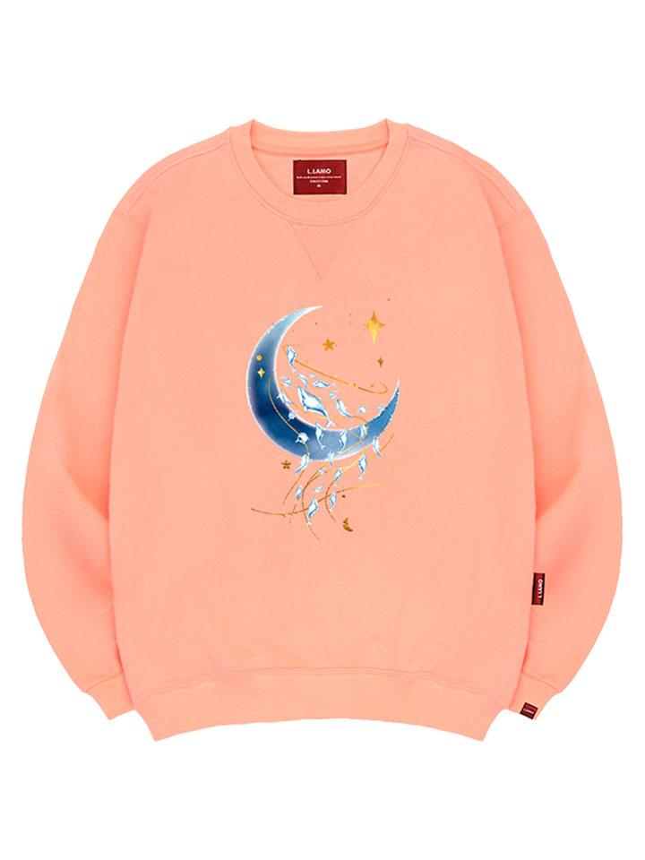 Толстовка Ellamo Moonlight Dolphin Унисекс Большие Размеры S~4XL (Тип)