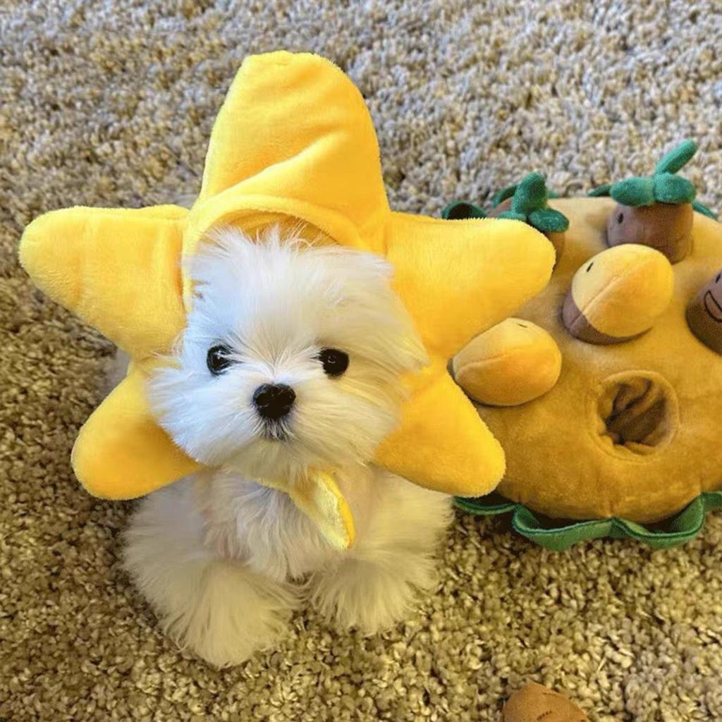 Украшение для питомца головной убор плюшевый щенок собака кошка милее чем медведь фото головной убор смешной