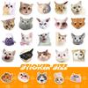 50 Наклеек с котами Набор эмодзи кота интернет-знаменитости Граффити-наклейки Милые смешные наклейки с кошачьей головой