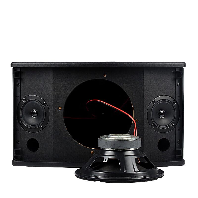 KAXISAIER 10-inch Professional KTV Karaoke Speaker CN plug (adapter included)