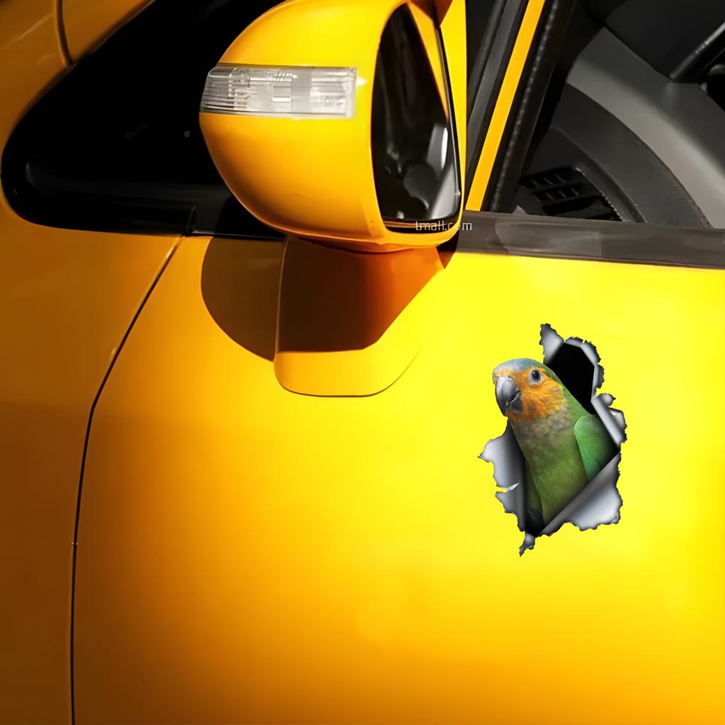 Красивая 3D-наклейка на автомобиль Parrot, забавная водонепроницаемая наклейка для автомобилей, грузовиков, мотоциклов, стен, окон, материала ПВХ