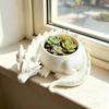 3D Printed Sleeping Dragon Planter Resin Dragon Ornament Planter Succulent Pot  For Plant Lovers