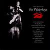 CD WATERBOYS - Best of F221845 Chrysalis 1991 US Rock Used
