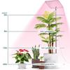 Telescopic Grow Light with Auto On/Off Timer Height Adjustable Full Spectrum LED Plant Lamp Growing Lamp with 3 Dimmable Brightness for Indoor Plants