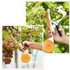 Garden Plant Tapetool Plant Tying Machine with 10 Rolls Tape 1 Box Staples  for Vegetable Grape Tomato Cucumber Pepper Flower