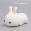 Rabbit Night Nursing Bedside Lamp Wenscha Table 7 Color USB 2 Level LED Indirect Bedroom Rabbit Cute Bedside Birth Prefecture Light, Light, Present,
