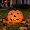 Pumpkin Lantern For Halloween Light Up Decoration, Spooky Jack O Decor Ornament for Window Display, Children Photo Prop Party Smiling