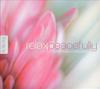 CD ДАН ГИБСОН Расслабься Мирно 37283 Solitudes 2007 Япония Джаз Б/у