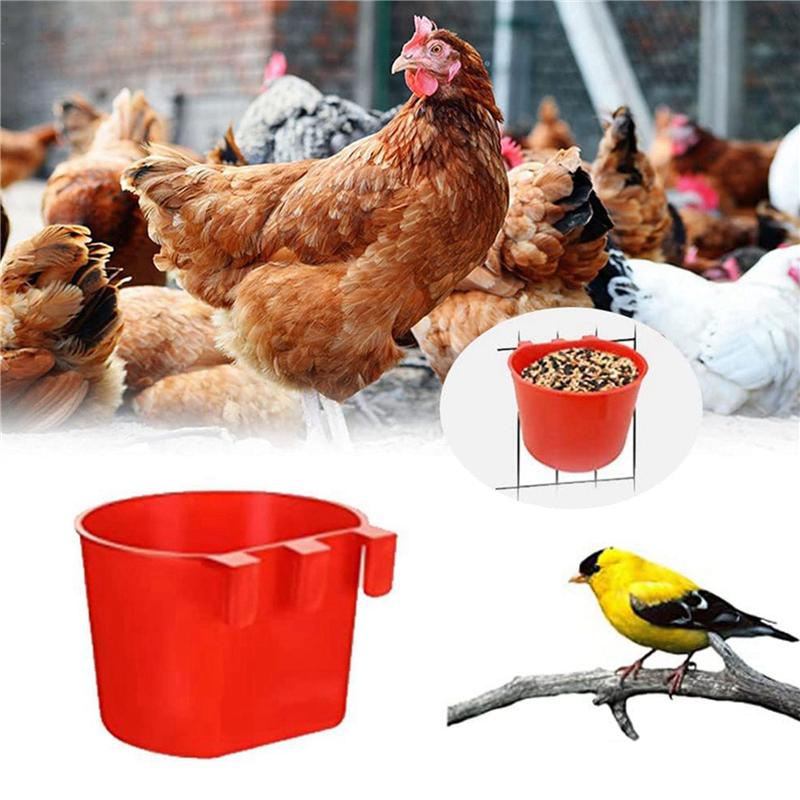 -September 60Pcs Chickens Feeders For Cage,Hanging Chicken Water Feeder Cup, Plastic Birds Feeders Seed Bowl, Chicken Fee