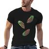 Greenshell Mussels Tshirt Plus Size Summer Short Sleeve Tshirt