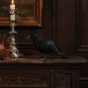 Реалистичная фигурка птицы с перьями, Реалистичная фигурка вороны, Статуэтка ворона для дома с привидениями, Жуткие декоративные черные реквизиты для Хэллоуина, Жуткий