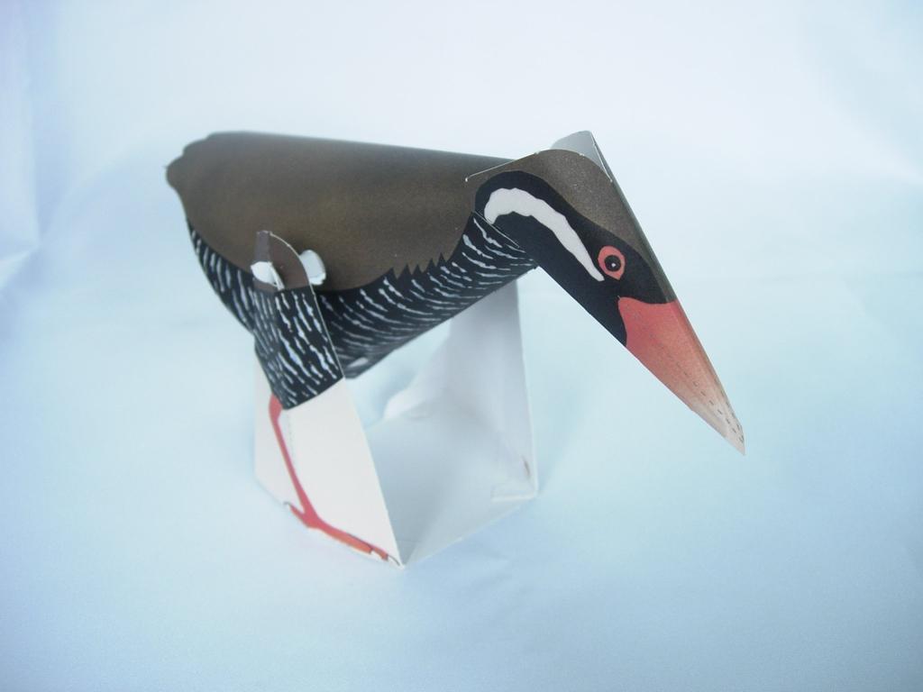 Rare Learn and Make Paper Crafts with 12 Red Creatures Okinawa's Creatures Data-Selected