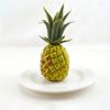 6Pcs Artificial Fruit Fake Fruit Simulation Fruit Photography Props for Kitchen Parties Decorations 24 Kind of Fruit