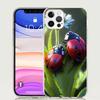 Insect Seven-Star ladybug Phone Case For Apple iPhone 17 Air 16 15 Plus 14 + 13 Mini 12 11 Pro Max 7 8 SE 16Max Soft Shell Cover