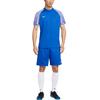 Nike Dri Fit Academy T Shirt Men's Blue IB8761-450