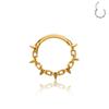 JCJEWELRY Титановые украшения для пирсинга тела Модные сегментные кольца для носа с шарниром Серьги с цирконами для женщин Пирсинг хряща козелка