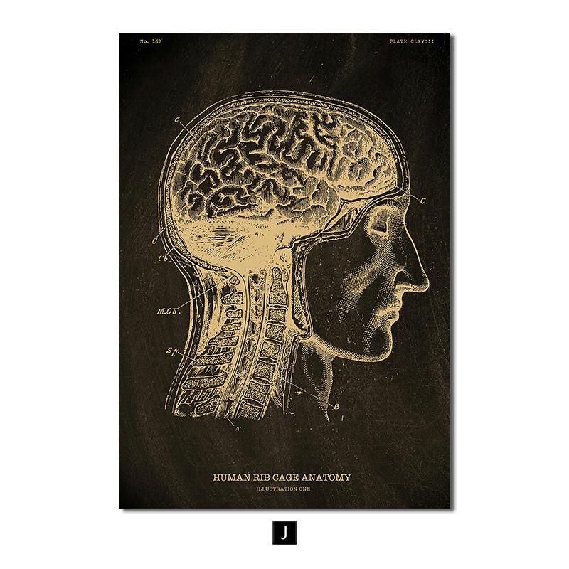 Анатомия человека, винтажный постер, скандинавский холст, художественный принт, золотой скелет, органы, живопись, настенные панно, медицинский домашний декор