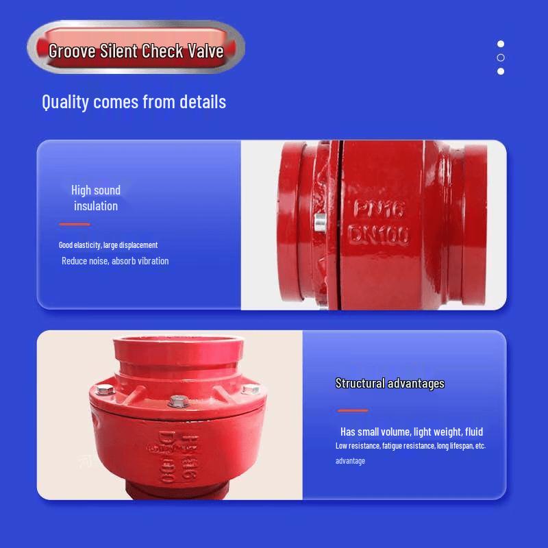 Rongyu DN65 Grooved Silent Ductile Iron Check Valve