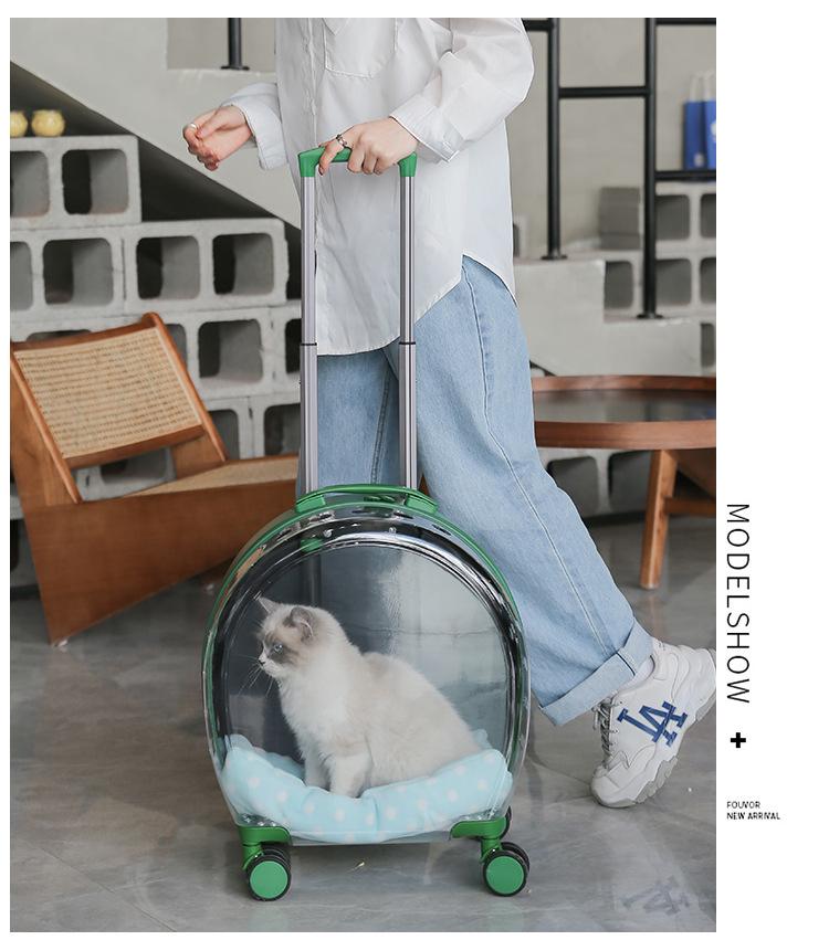 Портативная прозрачная переноска для питомцев: Многоцелевая дорожная сумка большой вместимости для кошек