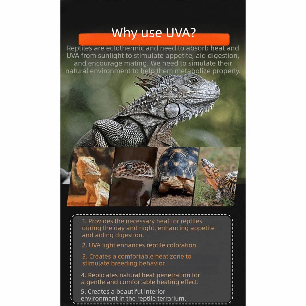 110/220V Daylight Heat Bulb 25/50/75/100W Basking Light Pet Daylight Lamp Lizard Habitat