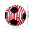 Southampton F.C Soccer Ball Colorful All Ages Machine Stitched PVC Competition Ready Durable High-Bounce.SIZE5