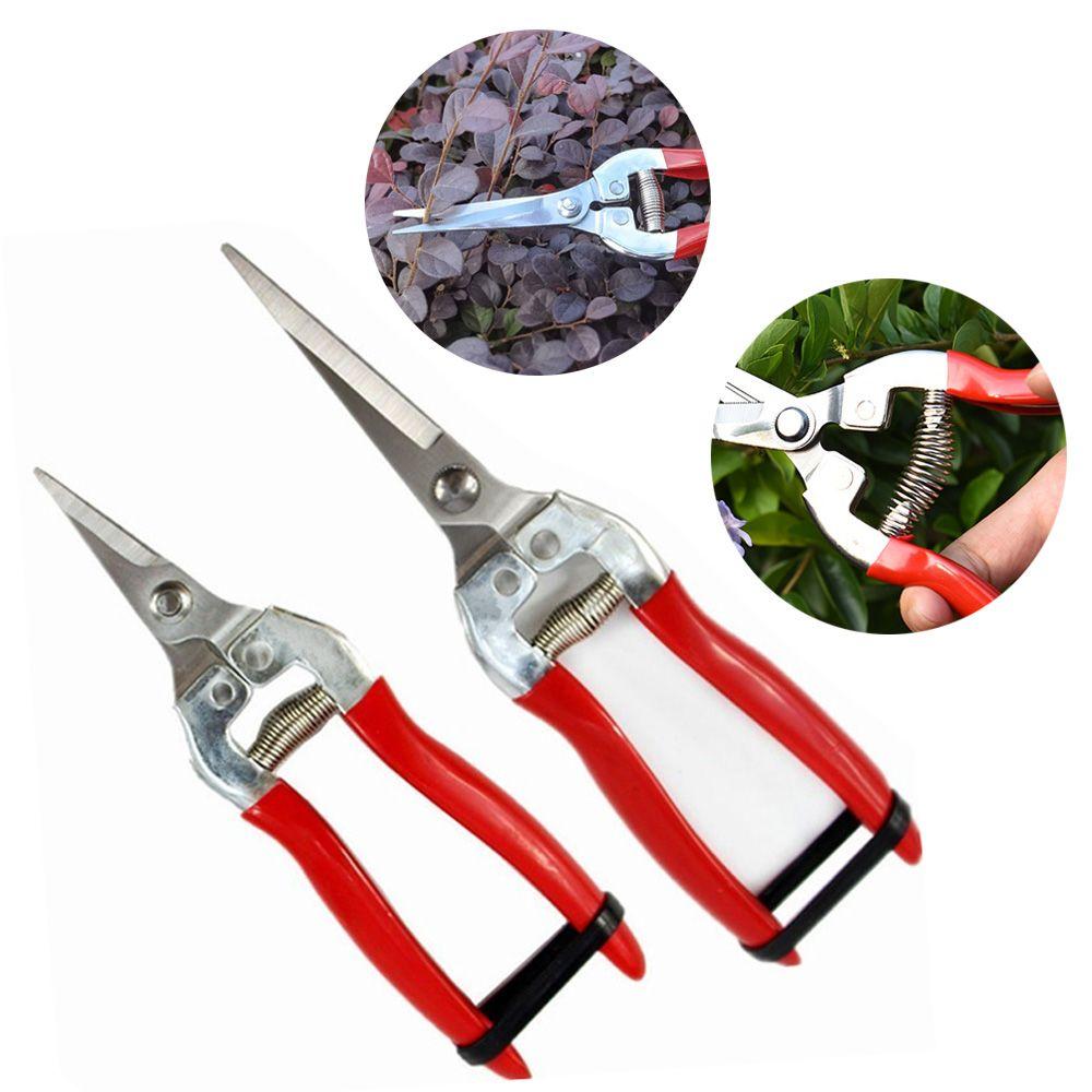 Tools Secateurs Orchard Garden Garden Scissors Pruning Shear Micro-Tip Snips Gardening Hand Pruner