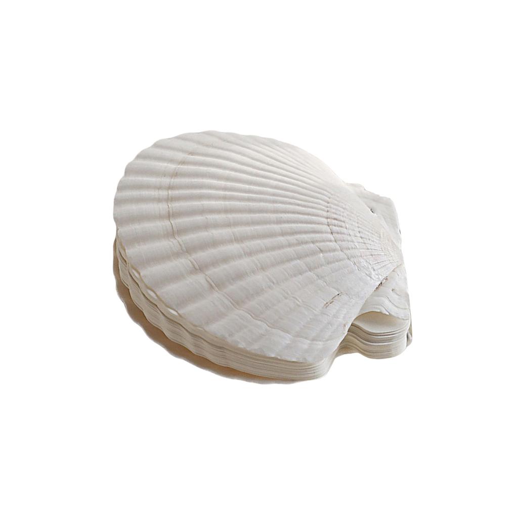 Маленький журнал в форме ракушки со сменными листами для записей, бумажный блокнот для художественного самовыражения, для ежедневного использования