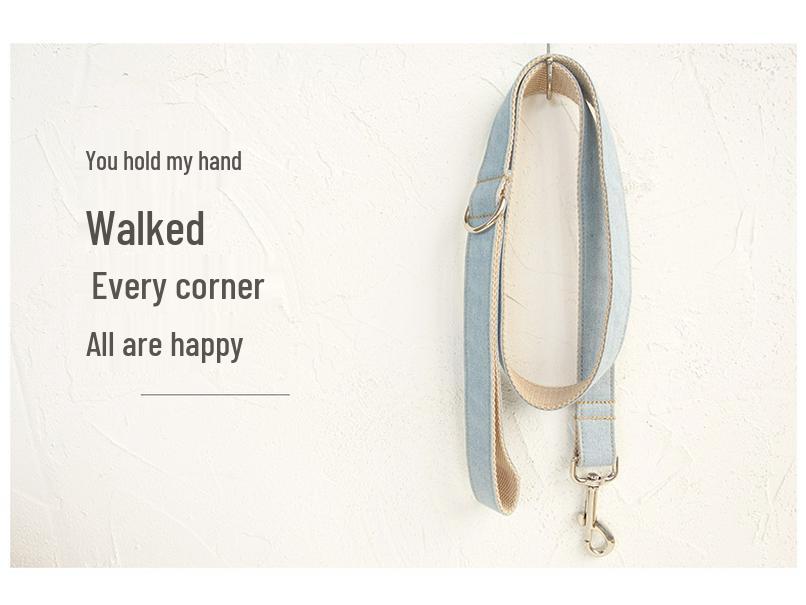 Custom Blue Dog Leash and Collar Set