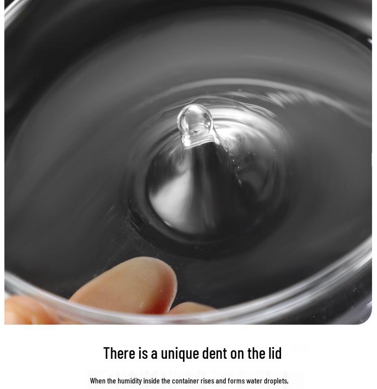 Dew Collection Mini Ecosystem: Moss Terrarium Glass Cover Decor