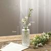 Ins Style Nordic Simple Transparent Flower Pot Table Decorative Hydroponic Terrarium Glass Vase