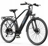 Electric bicycle Duotts C29 Lite, 250W motor, 36V 13AH battery, top speed 25 km/h, cruising range 65km, 27.5x2.25 inch tires