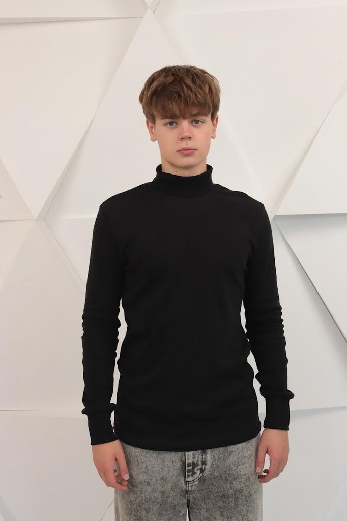 Пуловер (Мужской) Любой сезон 8043-015 HC