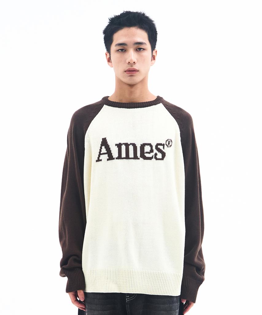 AMES-WORLDWIDE Basic Raglan Pullover Knit Brown