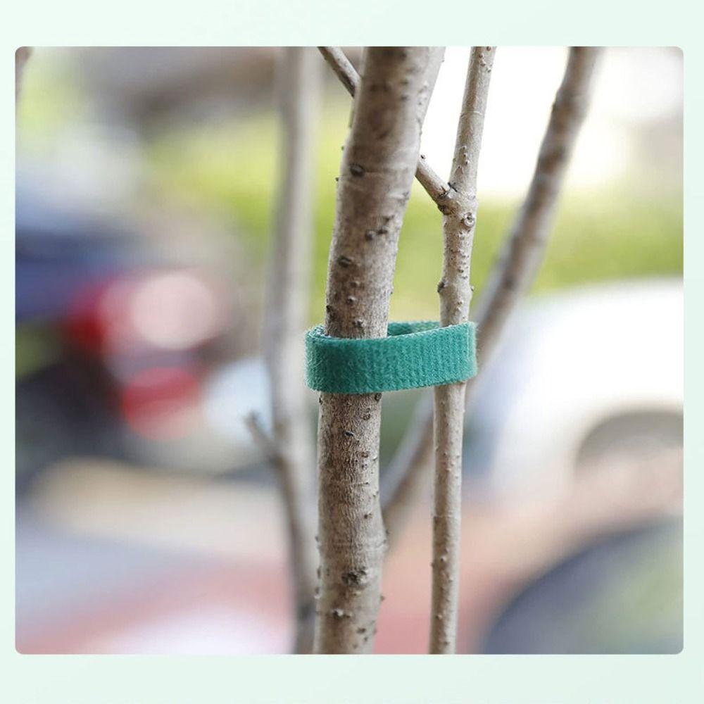 5/10 M Adjustable Plant Tape 10MM Plant Supports Bandage Green Garden Tie Bamboo Cane Wrap