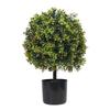 Realistic Boxwood Olive Tree Potted Plant for Indoor/Outdoor Decor